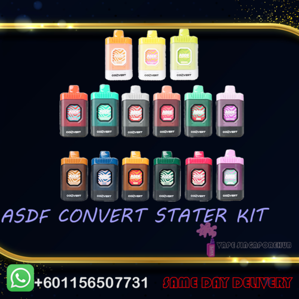 ASDF CONVERT 10000 DISPOSABLE