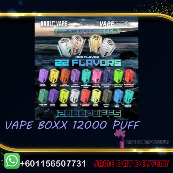 VAPEBOXX 12000 DISPOSABLE